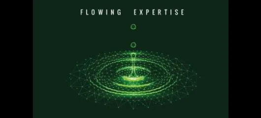 Caleffi Flowing Expertise