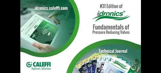 Introducing the 31st Edition of idronics™