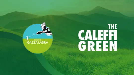 The Caleffi Green Moka Uno