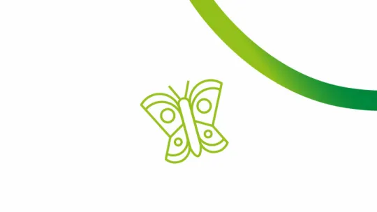 estetica e funzionalità icona estetica e funzionalità icona