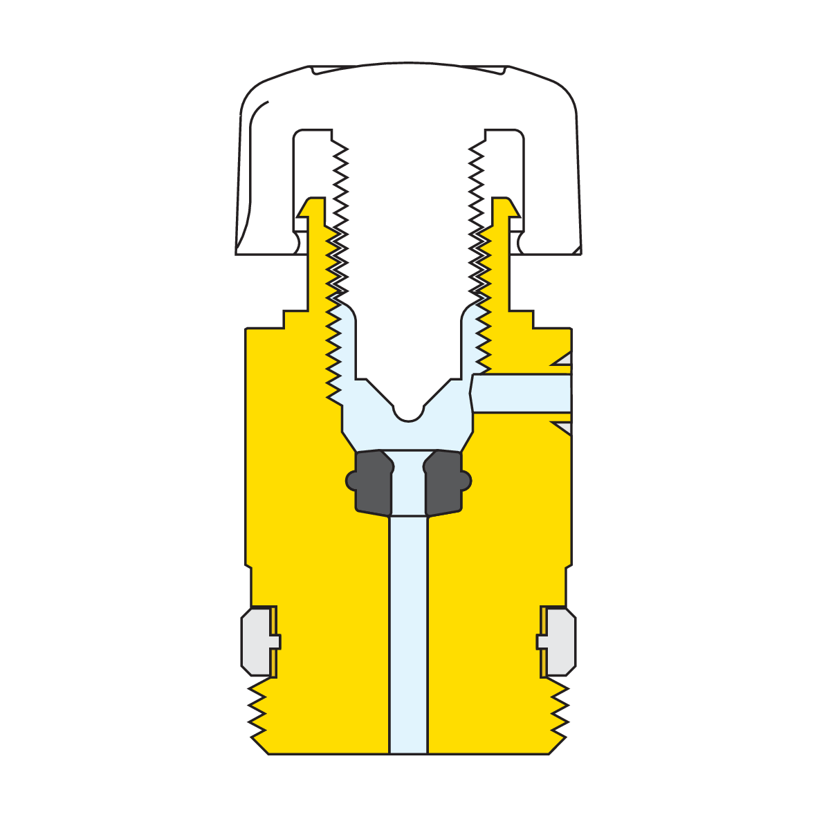 505511_sez~-~page-1.png