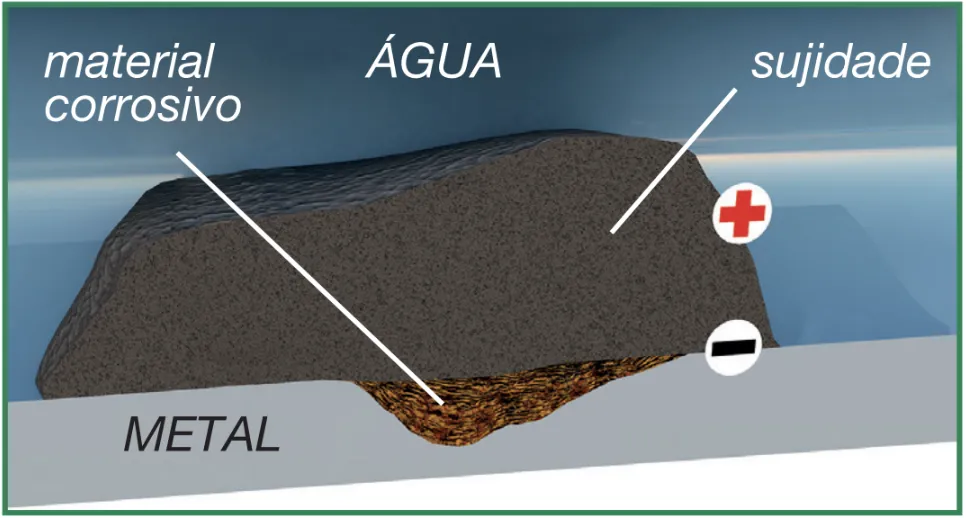 presença de sujidade nas instalações