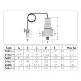 541040_dim~-~page-1.png