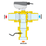 600051_sez~-~page-1.png