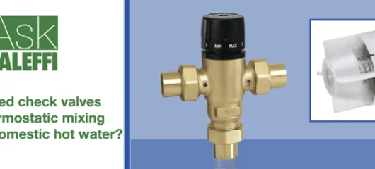 Do I need check valves in a thermostatic mixing valve for domestic hot water?