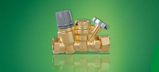 116cALEFFI
