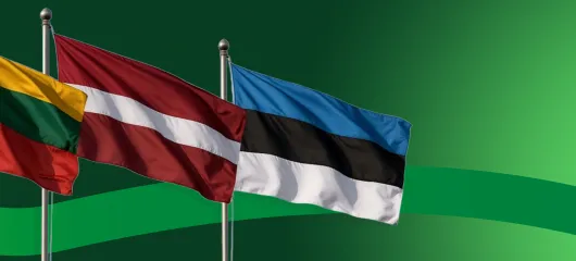 Lithuania, Latvia, and Estonia activities