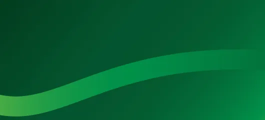 banner gamma inox caleffi 