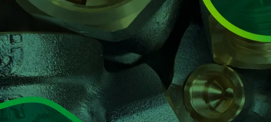 series 116 thermostatic regulator
