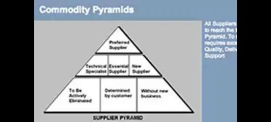 Bosch supplier pyramid evaluation criteria