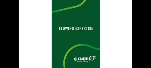 Caleffi Company Profile