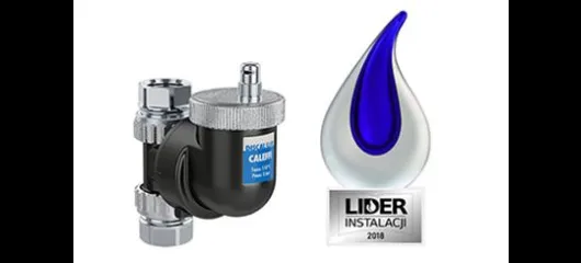 Statuetka Lider Instalacji 2018