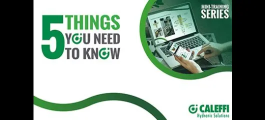 Five Things You Need to Know About The “5 Things”