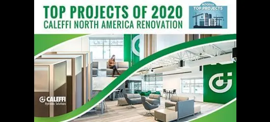 Caleffi Renovation Awarded Top Projects of 2020