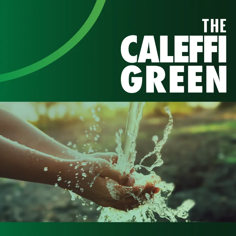 The Caleffi Green (pdf)