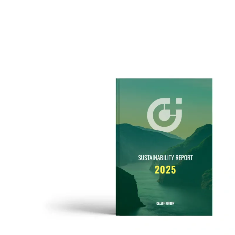 Relatorio de sustentabilidade caleffi2025