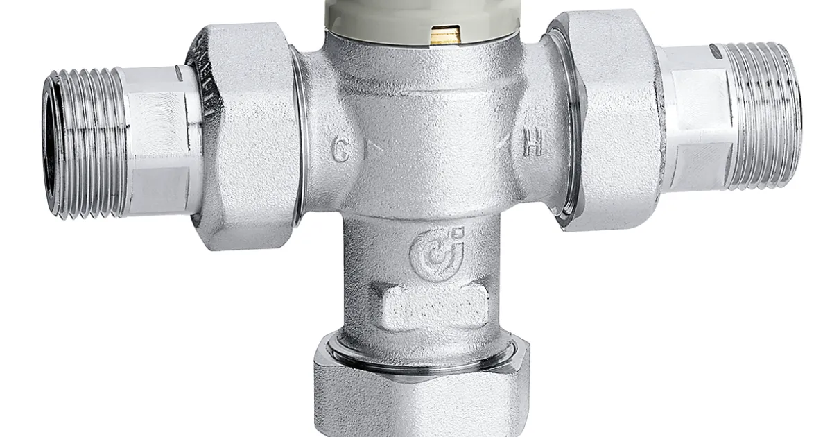 Adjustable thermostatic mixing valve with check valves and
